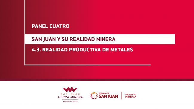 Panel 4: Realidad productiva de metales