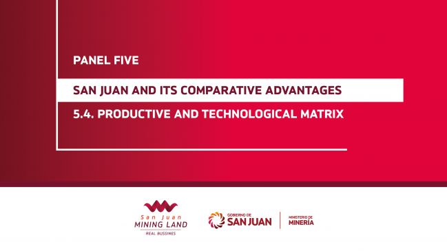 Panel 5: Productive and technological matrix