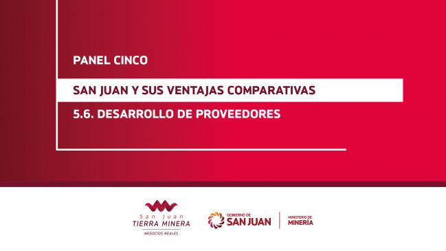 Panel 5: Desarrollo de proveedores